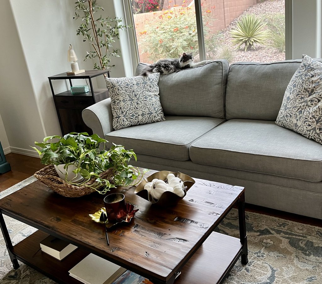 cozy family room with neutral furniture and subtle fall decor