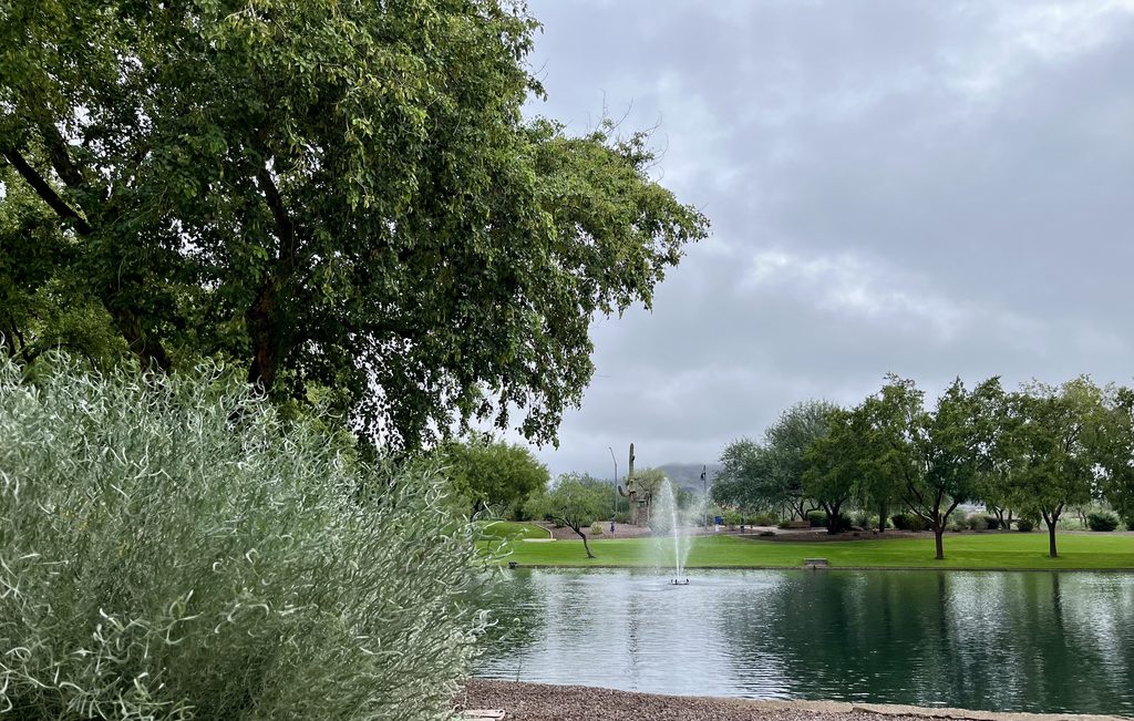 Peaceful Arizona park with a pond, fountain, trees, and green grass beneath a cloudy sky.