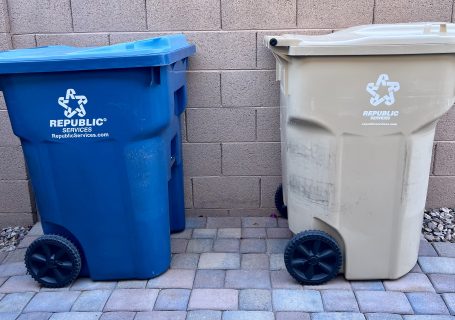 Blue recycling bin and beige trash bin ready for weekly pickup.